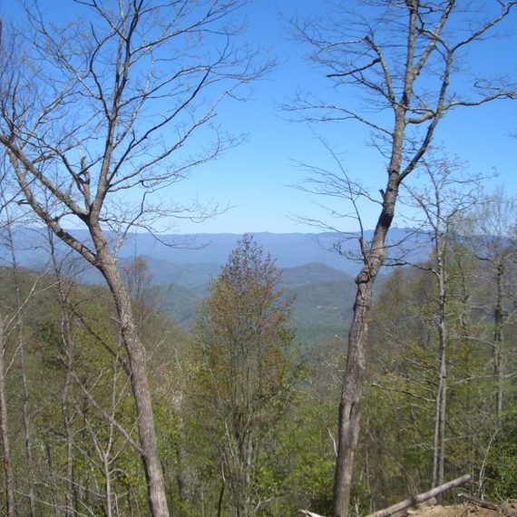 Peaks Bald Estates site plan