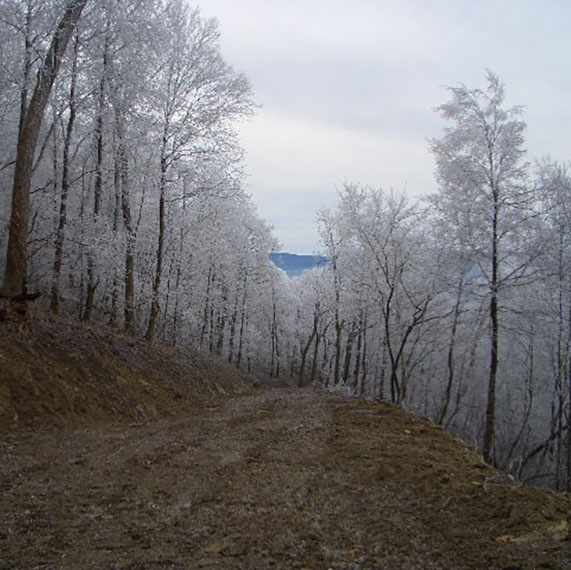 Mountain ridgeline view